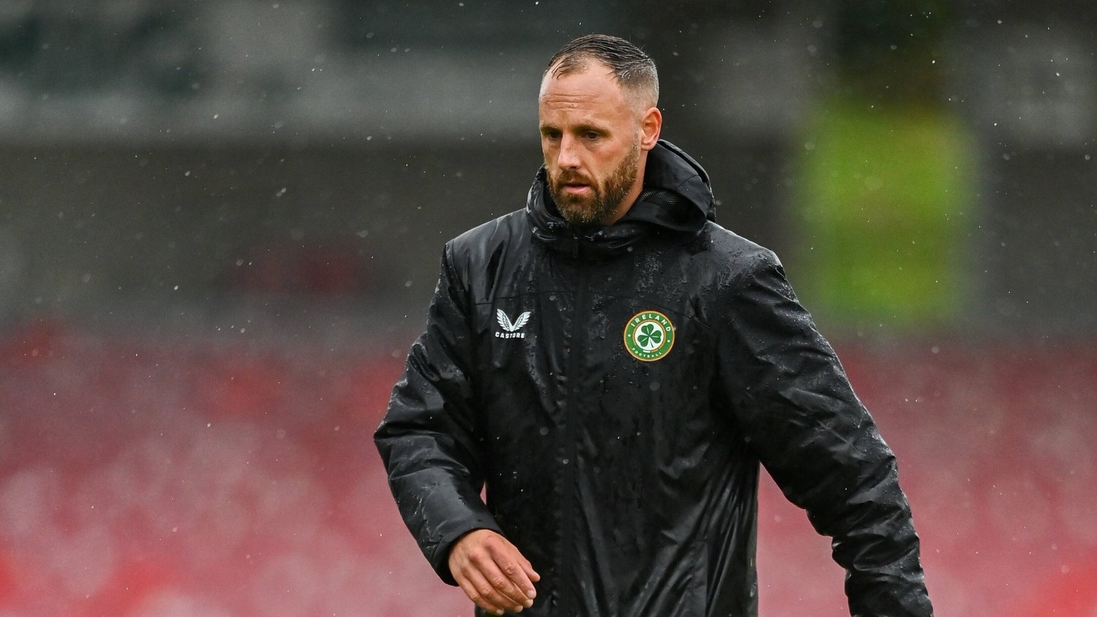 David Meyler named new Cork City assistant manager
