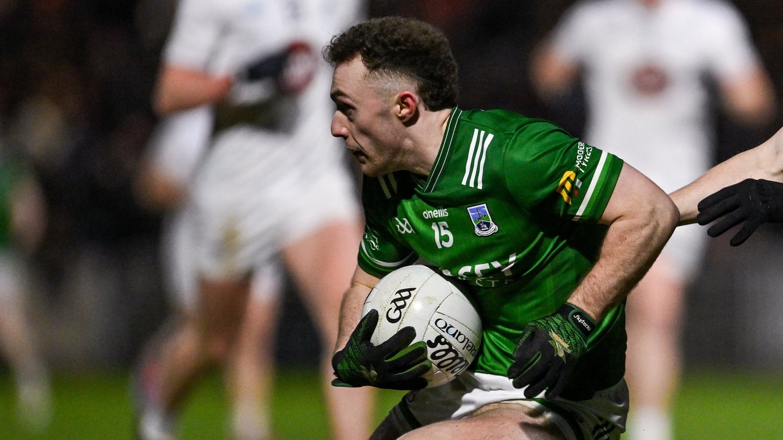 Love shines at Croke Park as Fermanagh see off Wexford to top Group 4