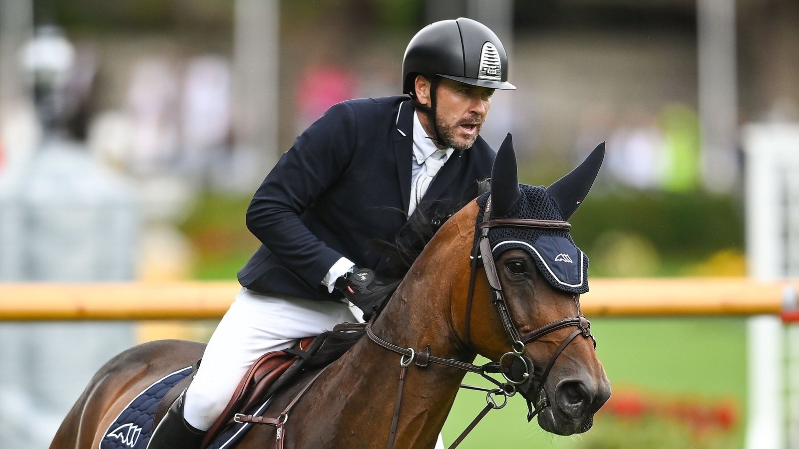 Four-star success for Ireland in Langley