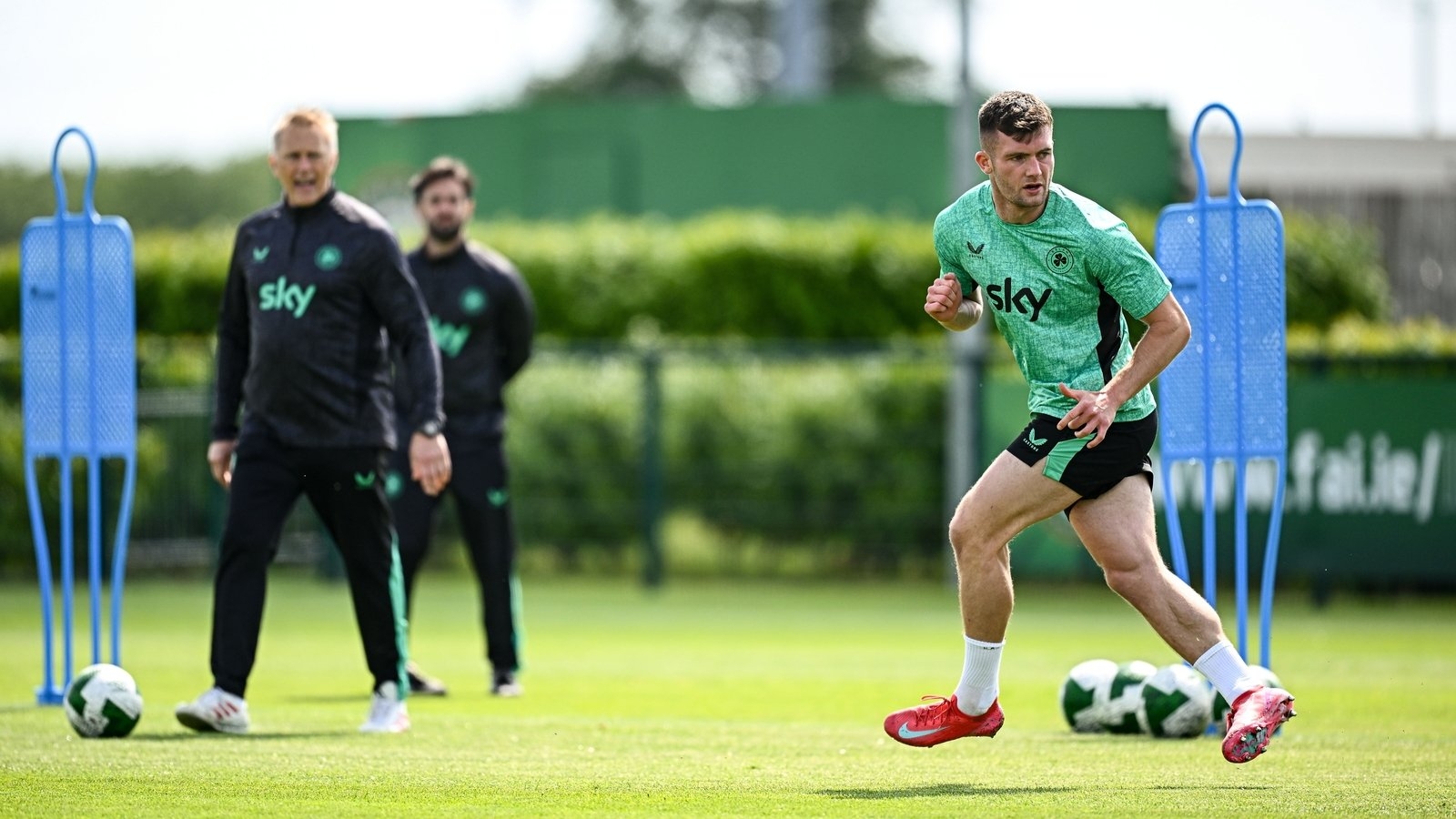Homegrown Honohan eager to impress Hallgrimsson
