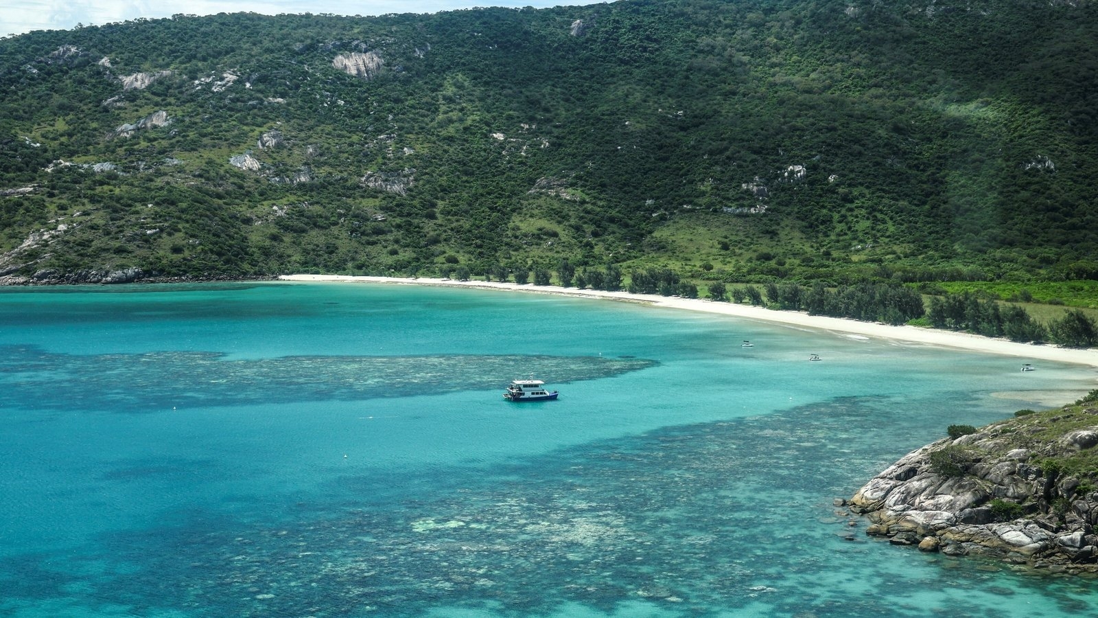 Coral frozen in time throws lifeline for Great Barrier Reef
