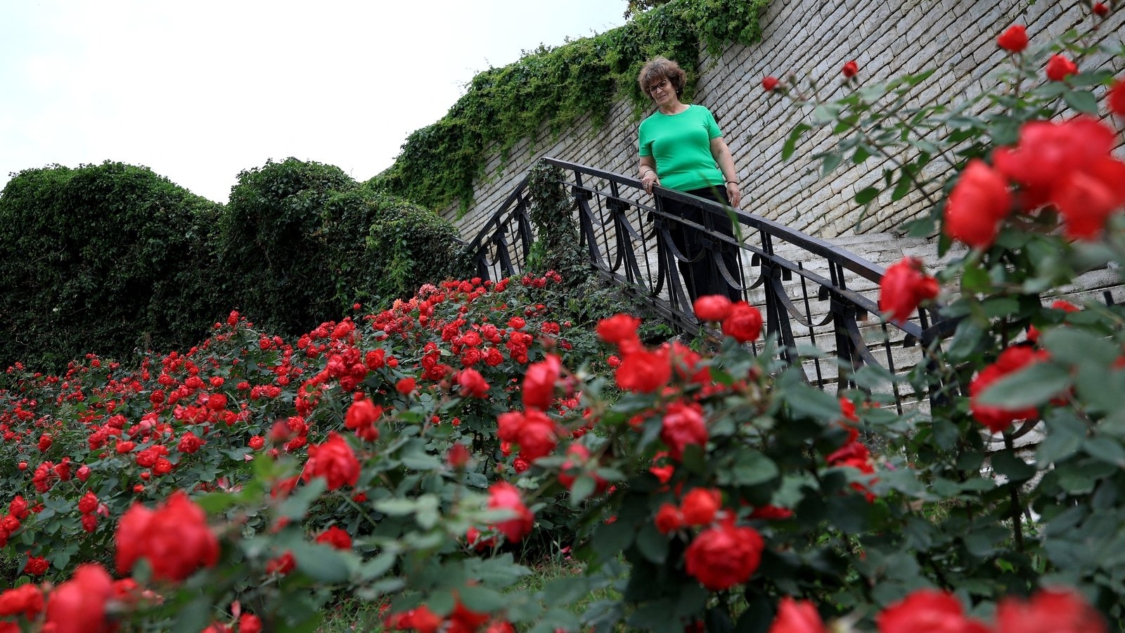 Albania town where everything's coming up roses
