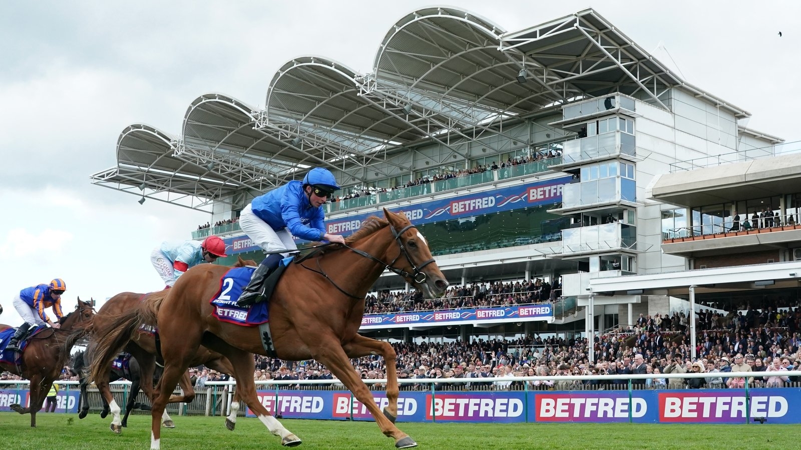 William Buick backing Desert Flower to remain in bloom for Oaks nirvana