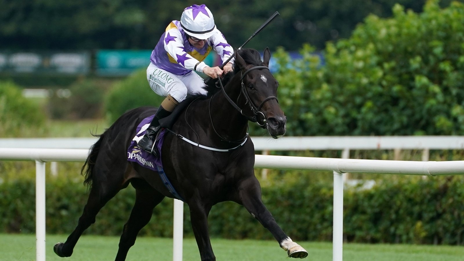 Green Impact returns to winning ways at Leopardstown to set up Irish Derby bid