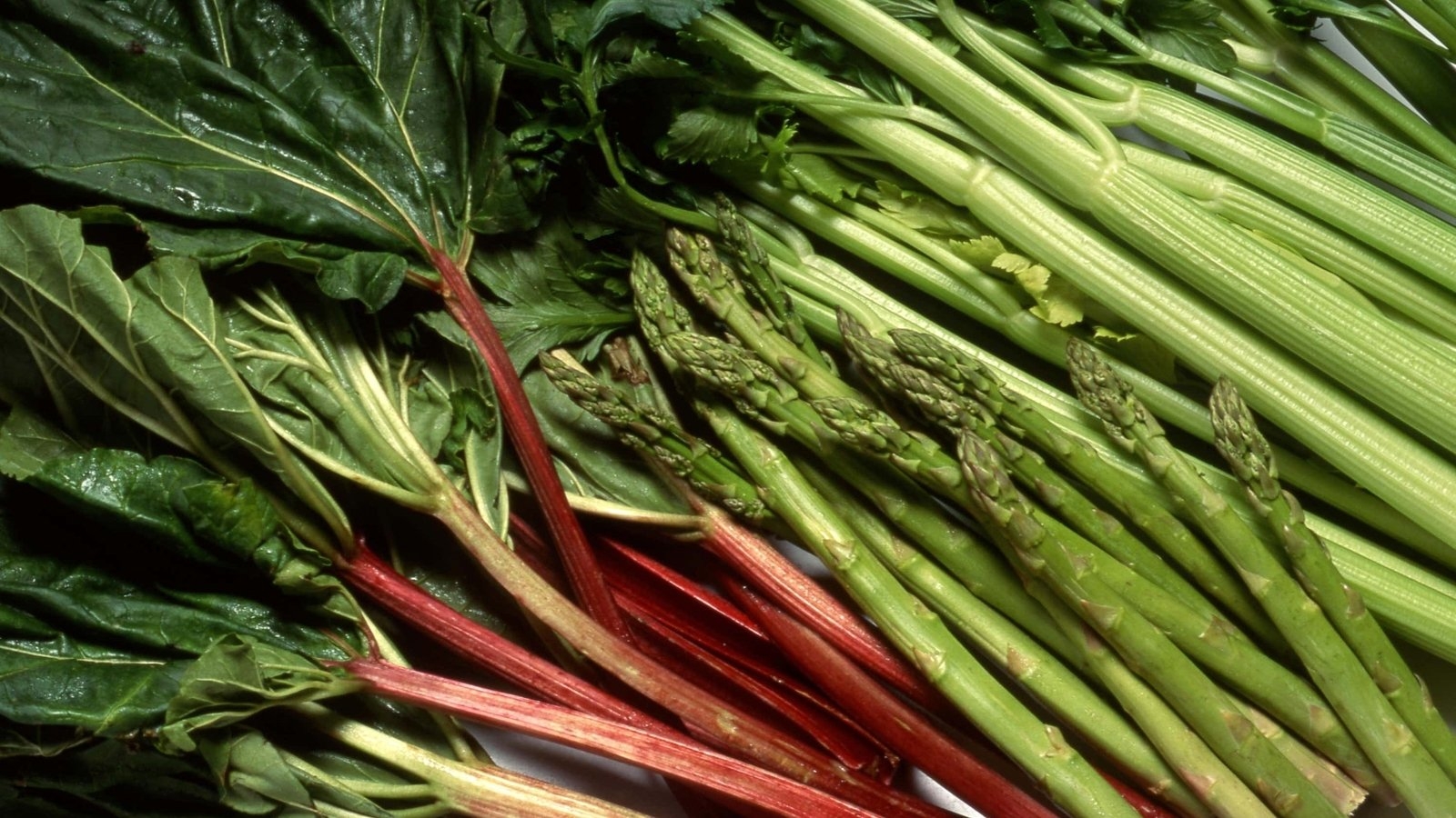 Here's what's in season in early summer and how to cook it