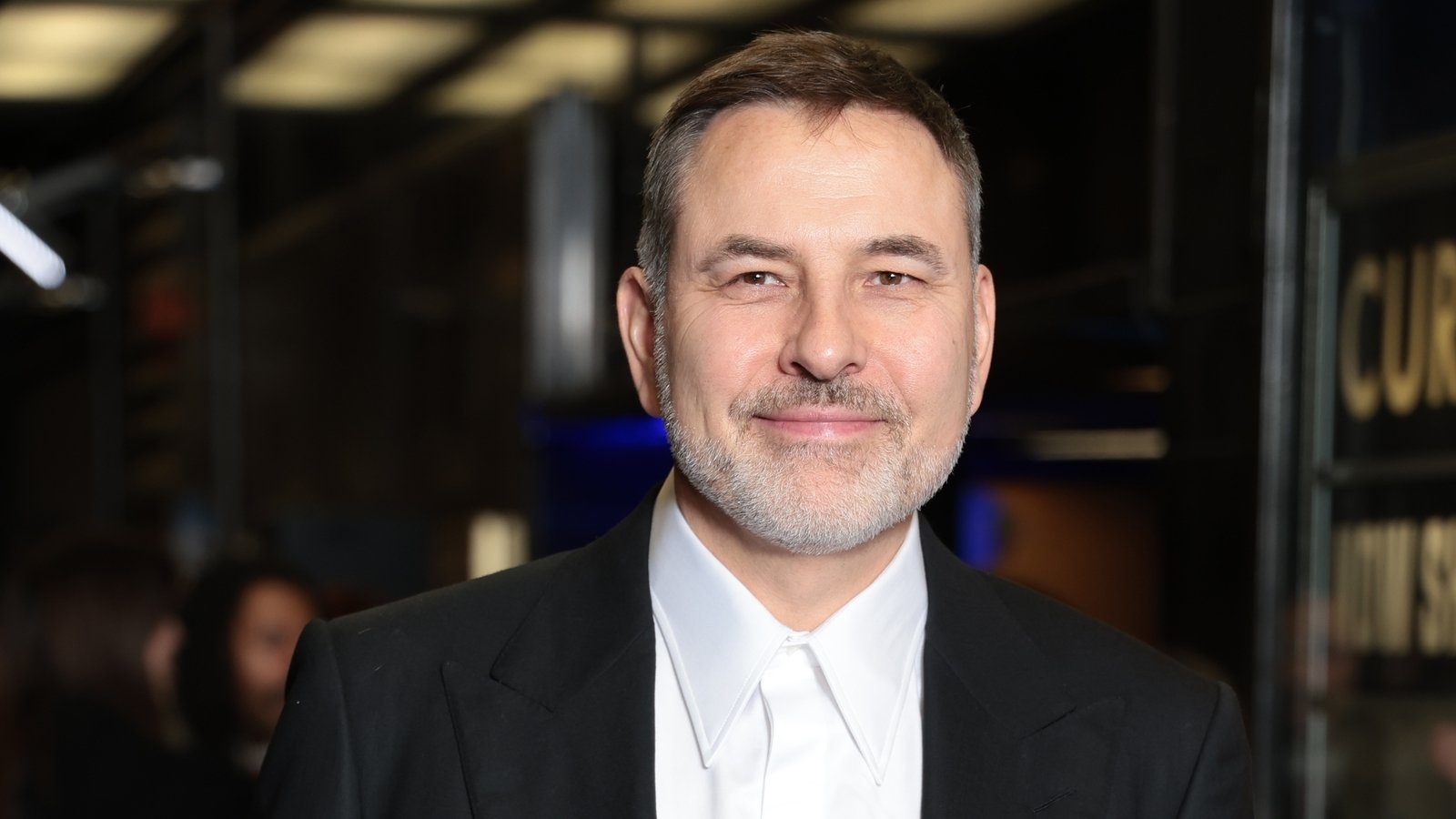 David Walliams 'gave Nazi salutes while recording BBC's Would I Lie To You?'