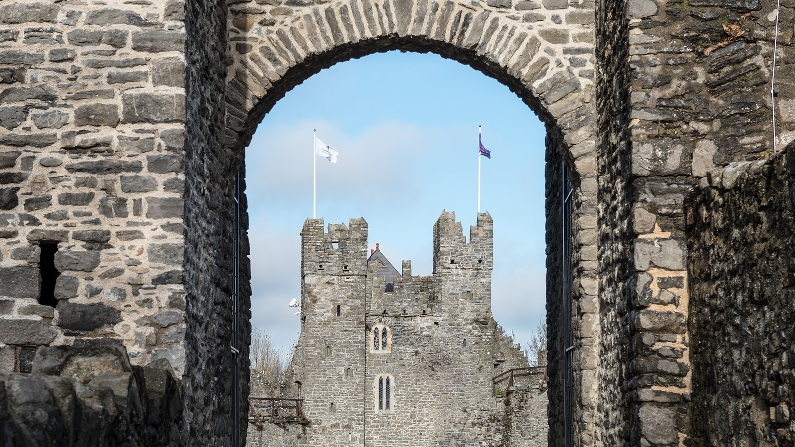 Fingal County Council under fire for use of AI generated image