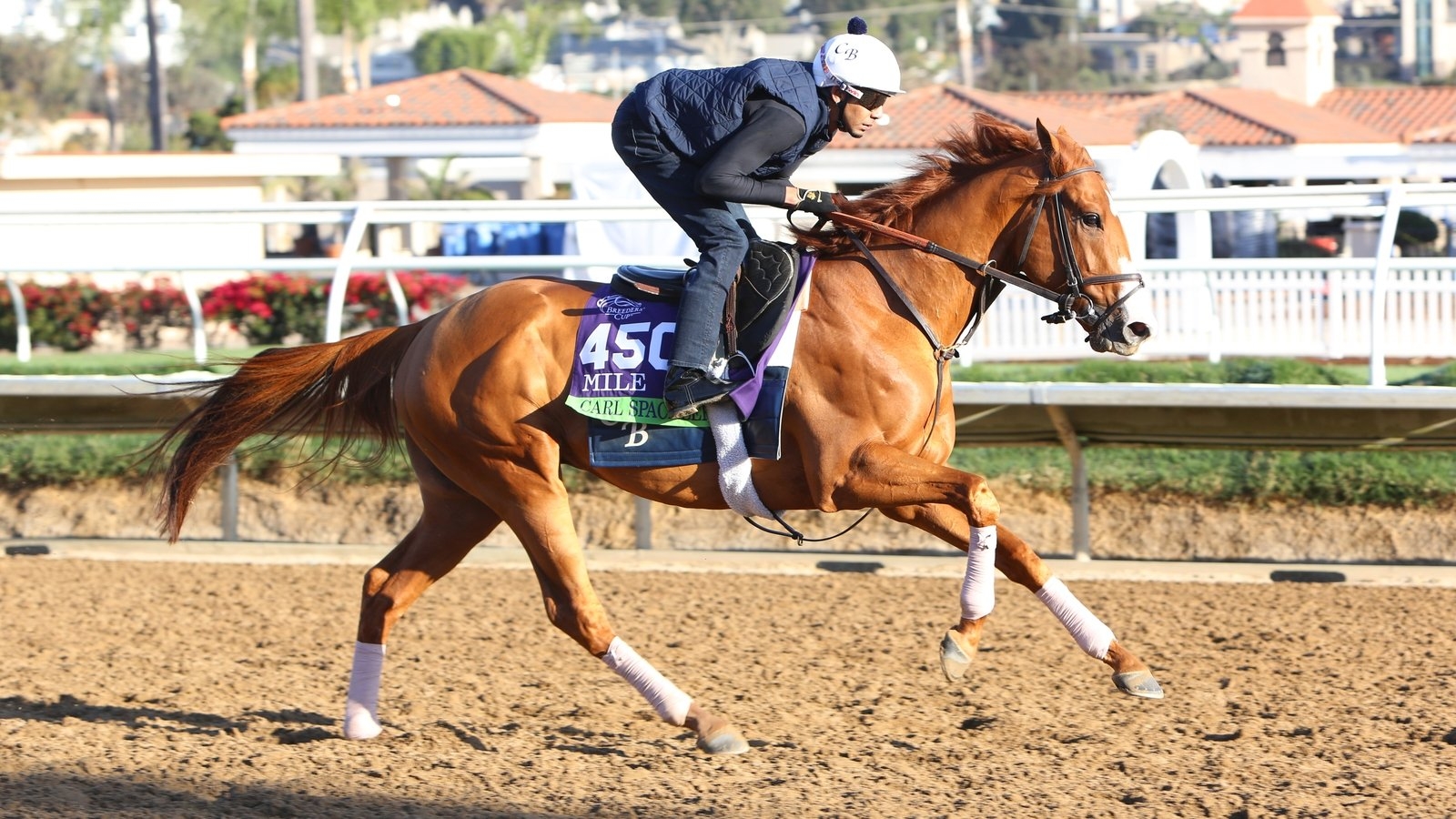 Royal Ascot: Oz raider Spackler to shake up Queen Anne Stakes
