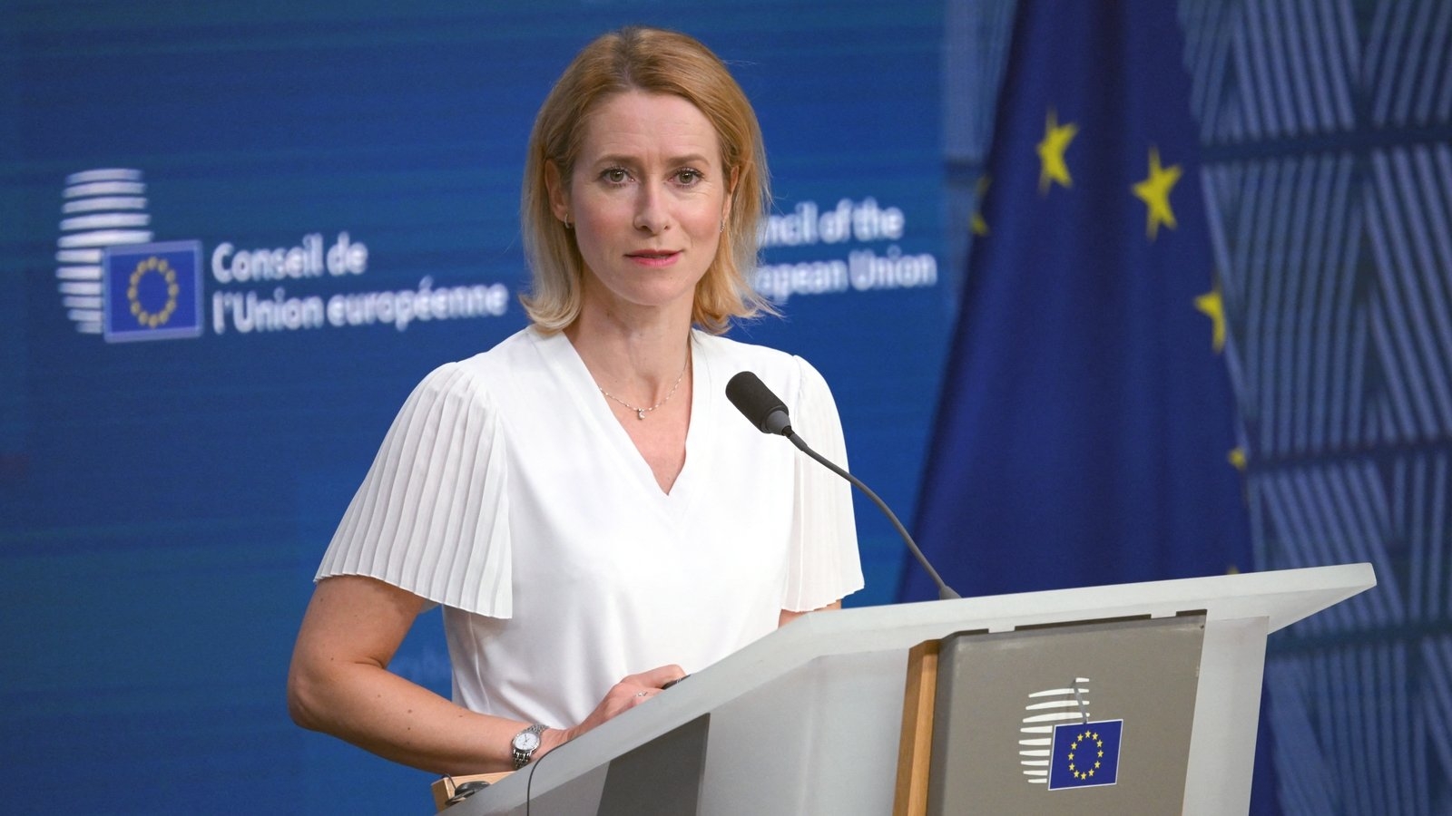 Sinn Féin MEP calls on EU official to apologise over Irish comments