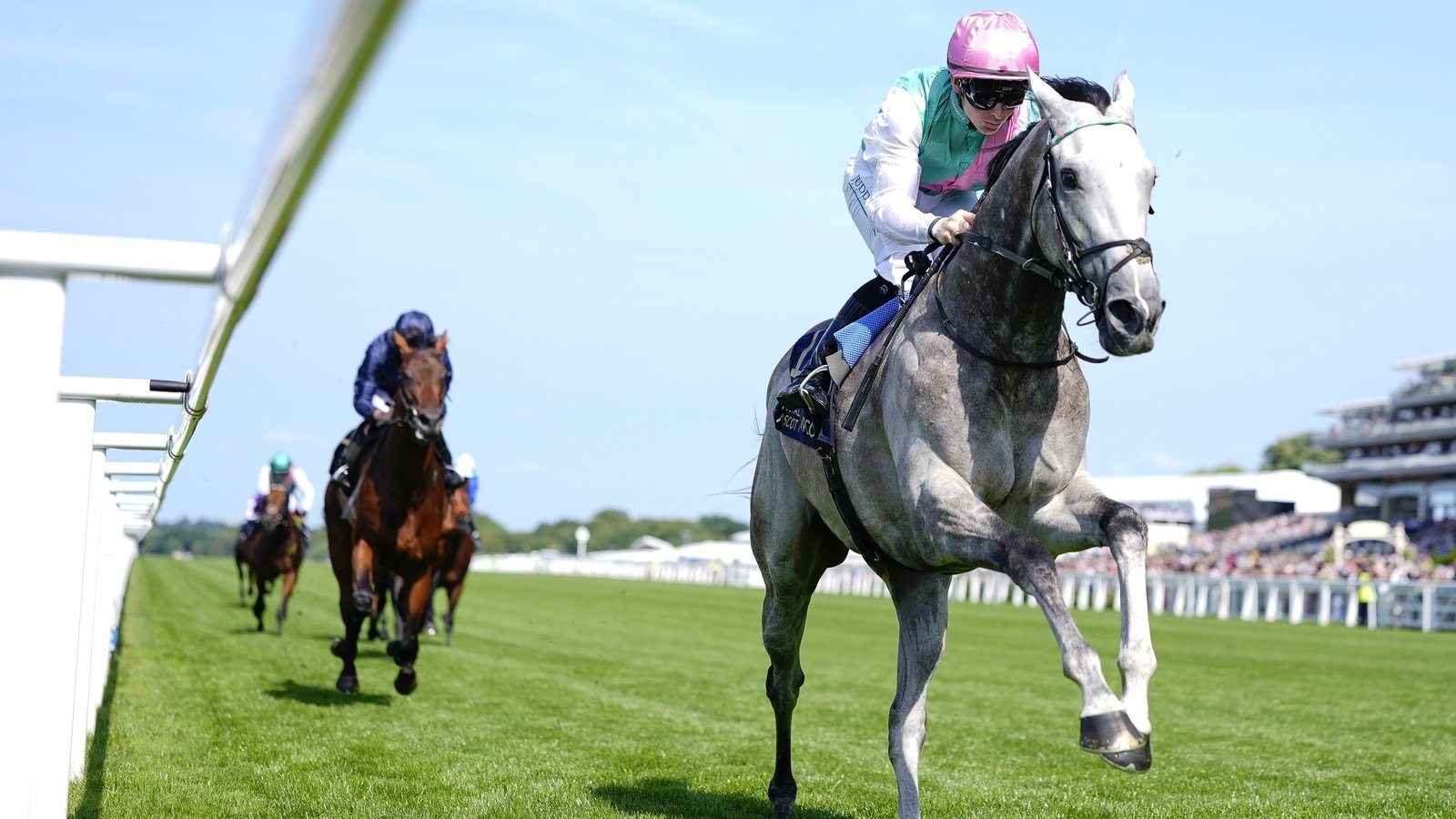 Royal Ascot: All that glitters is Field Of Gold in St James's Palace Stakes