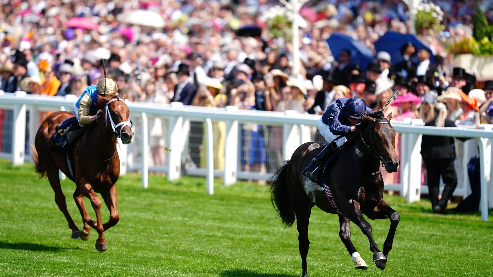 Royal Ascot: Charles Darwin impresses in landing Norfolk Stakes