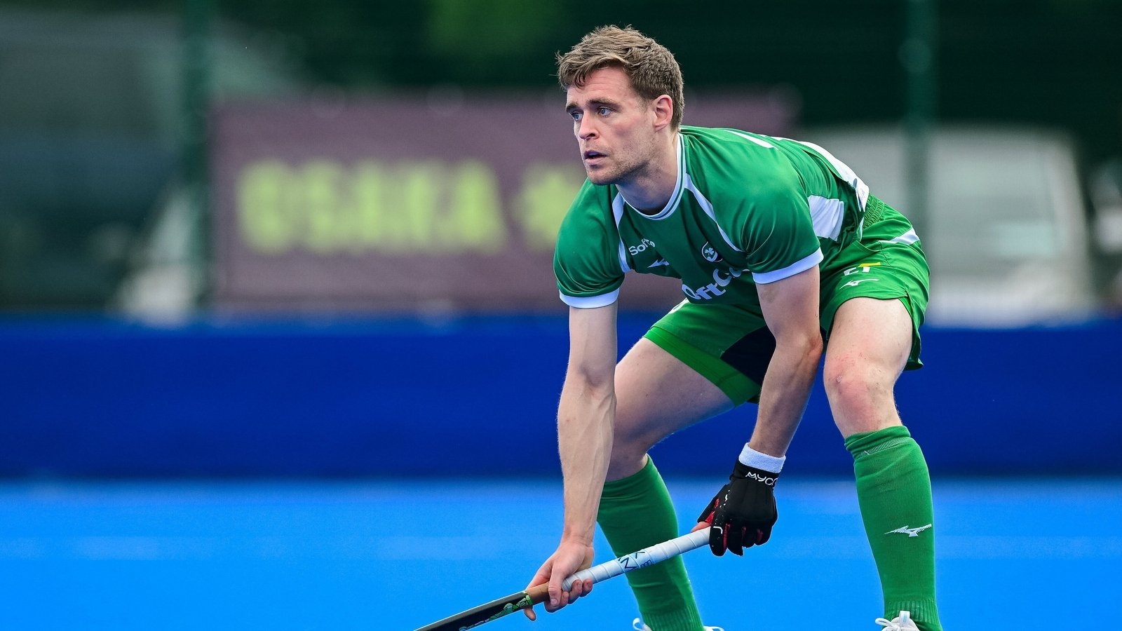 Ireland stung by late Spanish double
