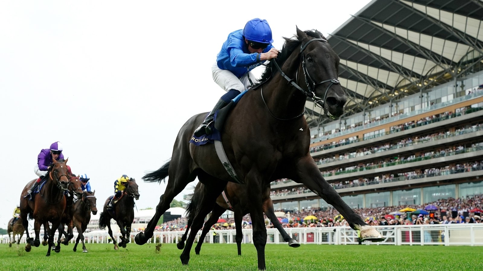 Royal Ascot round-up: Rebel''s Romance reigns in Hardwicke Stakes