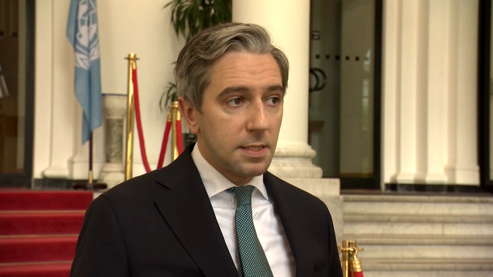 Tánaiste to raise Occupied Territories Bill in Cabinet