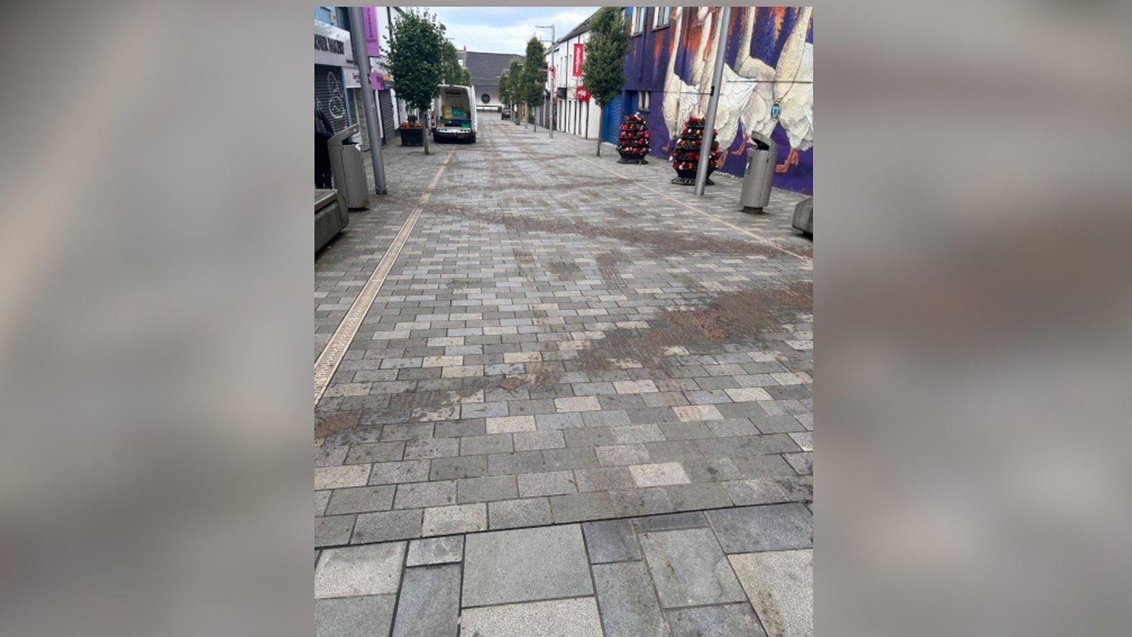 Second man arrested after slurry spread before Ballymena Pride