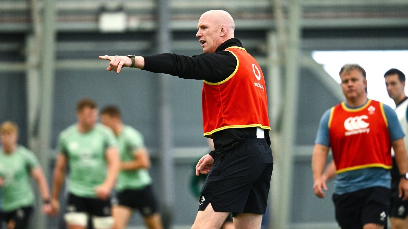 Denis Leamy hails interim Ireland coach Paul O'Connell as great leader and communicator