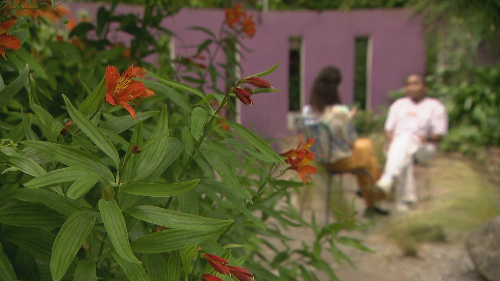 600 families being moved from IPAS centres under transfer procedure