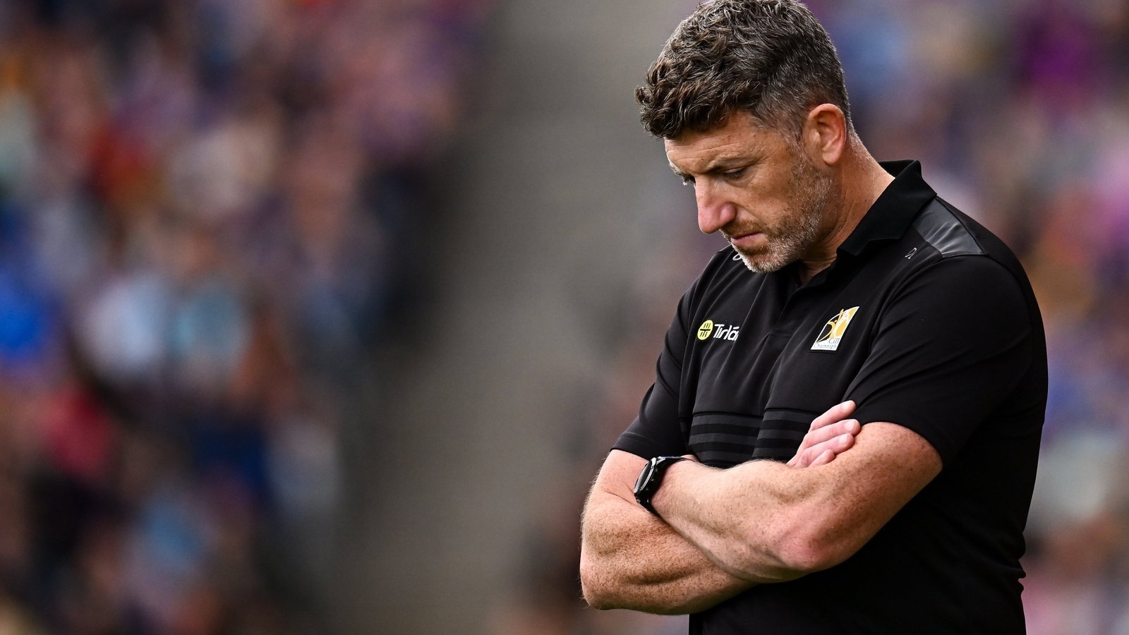 Derek Lyng rues Cats' failure to dig claws in when on top of Tipperary
