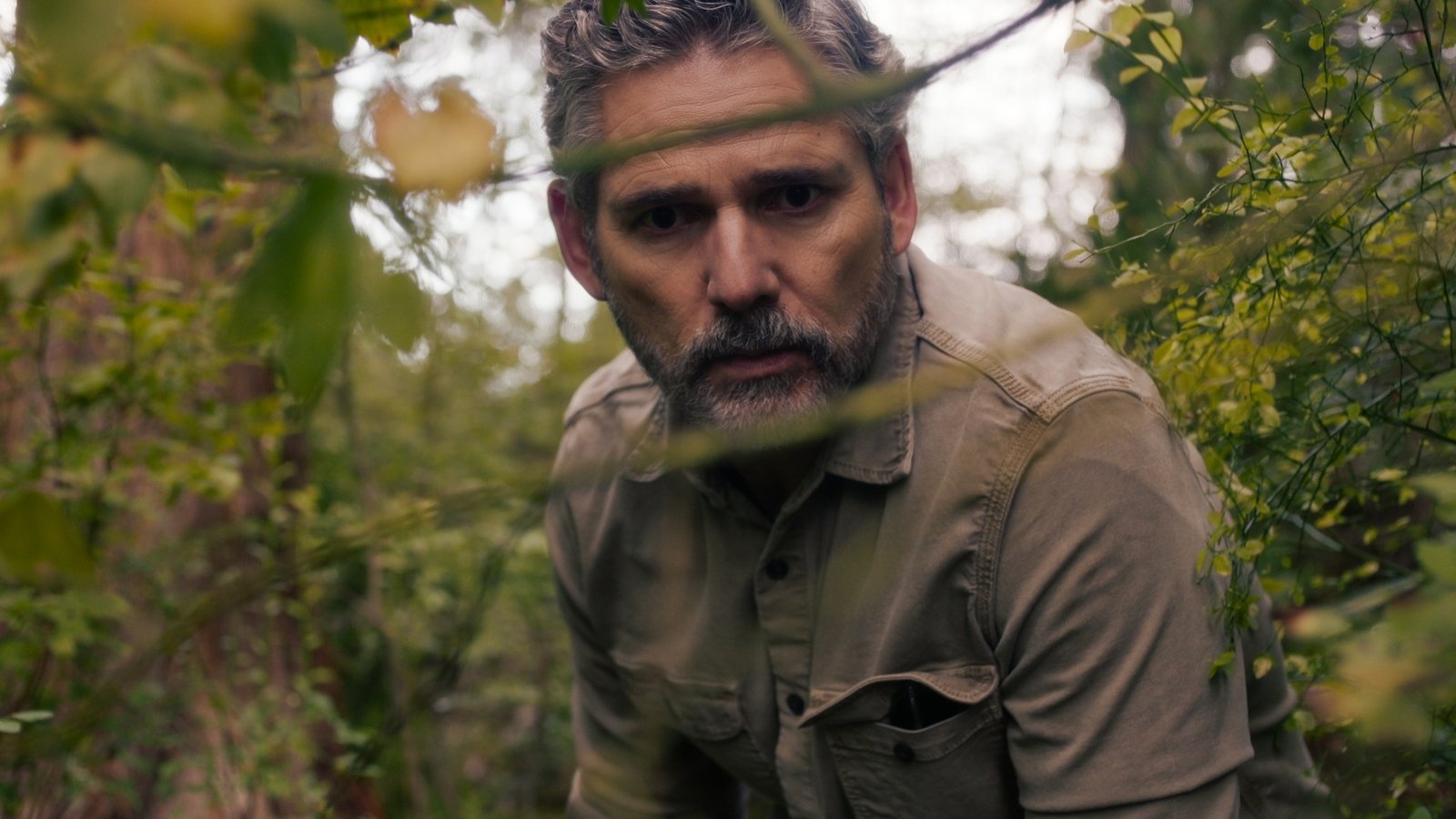"We have a brilliant industry here in Ireland and it's growing all the time." Neasa Hardiman on making Untamed for Netflix