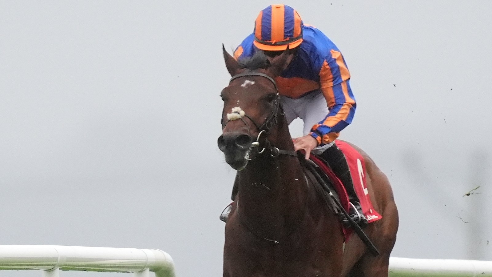 Rock Of Cashel scores at Navan
