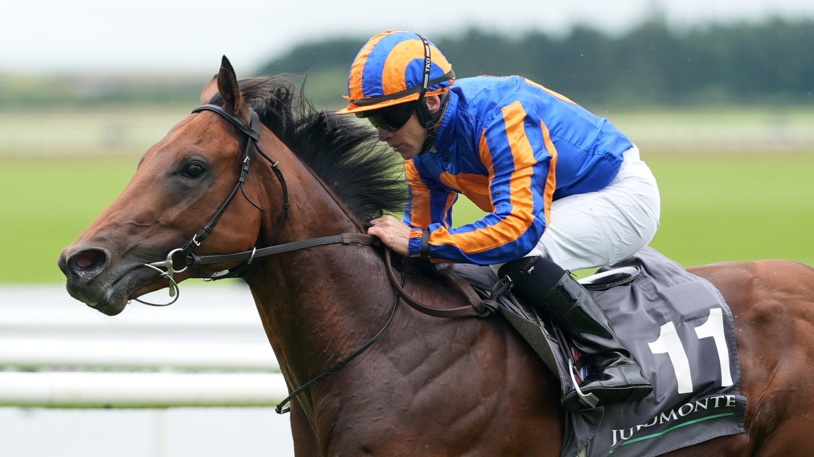 Jacques Le Marois at Deauville is next for The Lion In Winter
