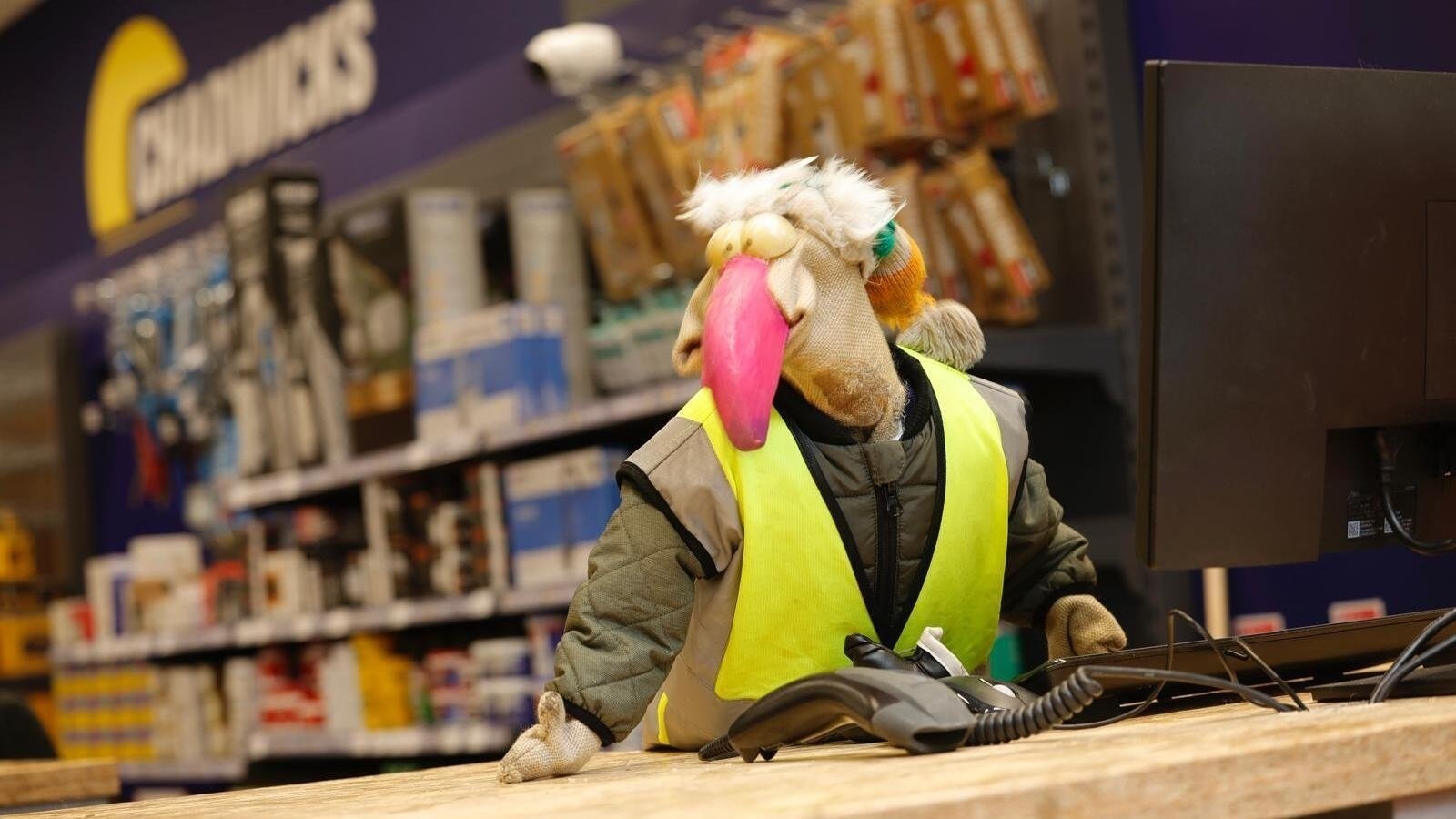 Dustin the Turkey: "I will run to be president of Ireland"