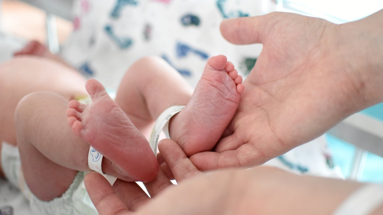 IPA says incomplete maternity hospital patient safety reports 'sloppy'