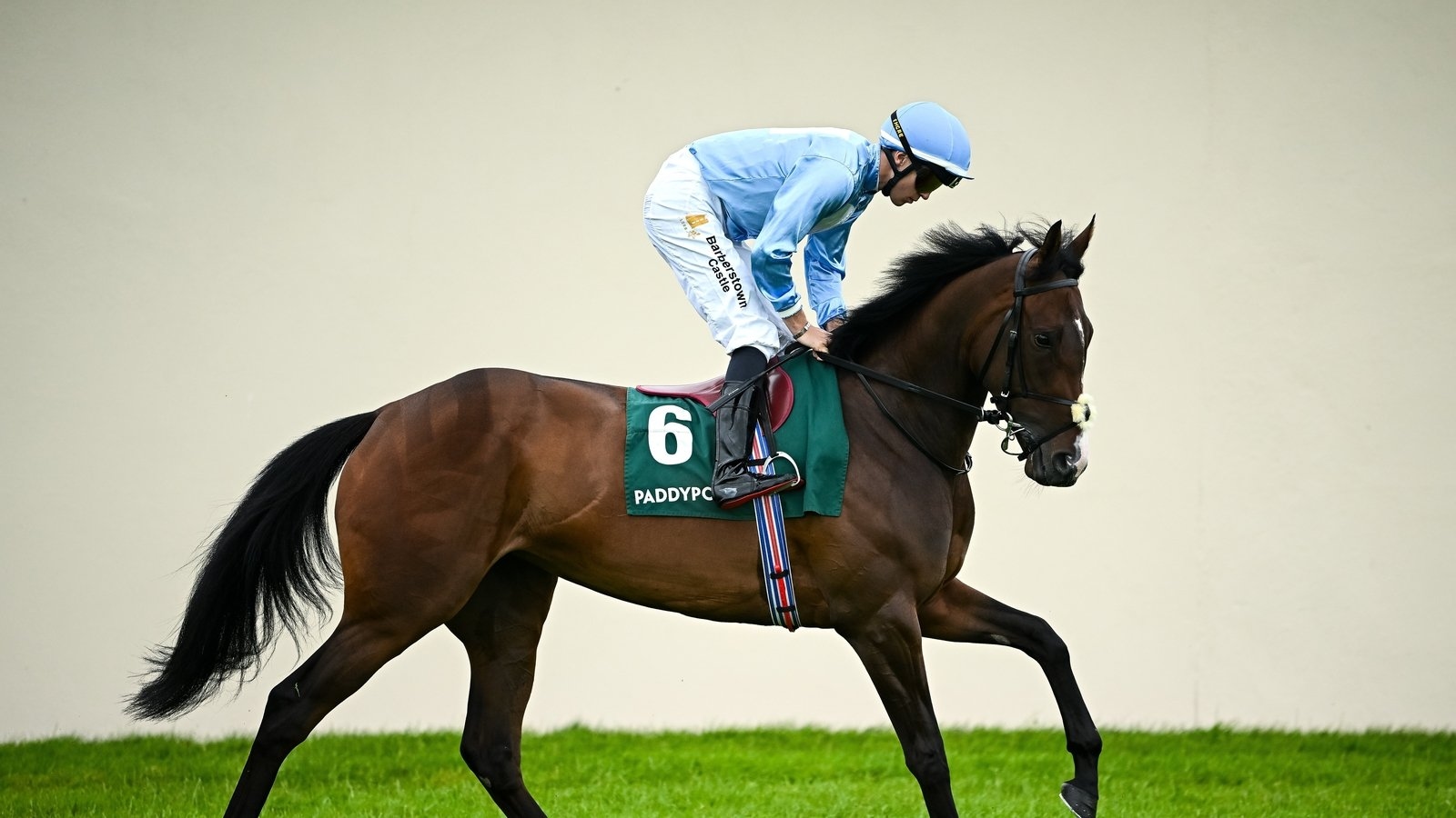 Joseph O'Brien eager for Wemightakedlongway to face Hauk again