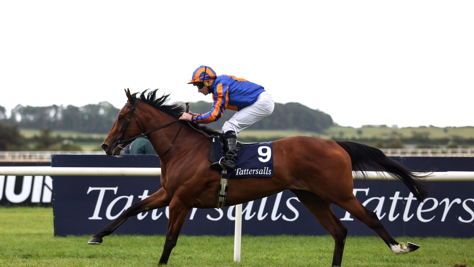 Lake Victoria future uncertain, says Aidan O'Brien