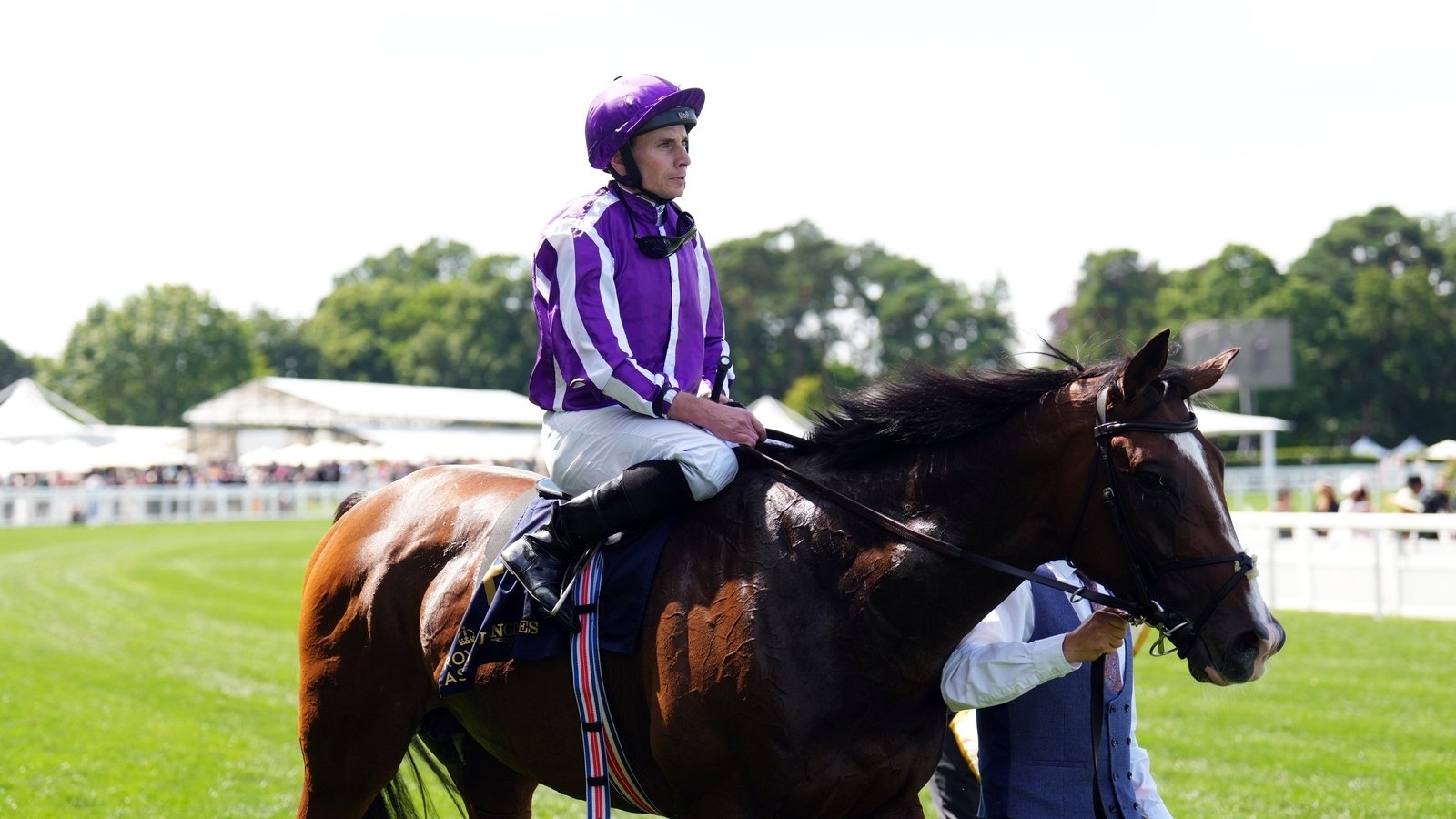 Illinois drops back in trip for Goodwood Cup test