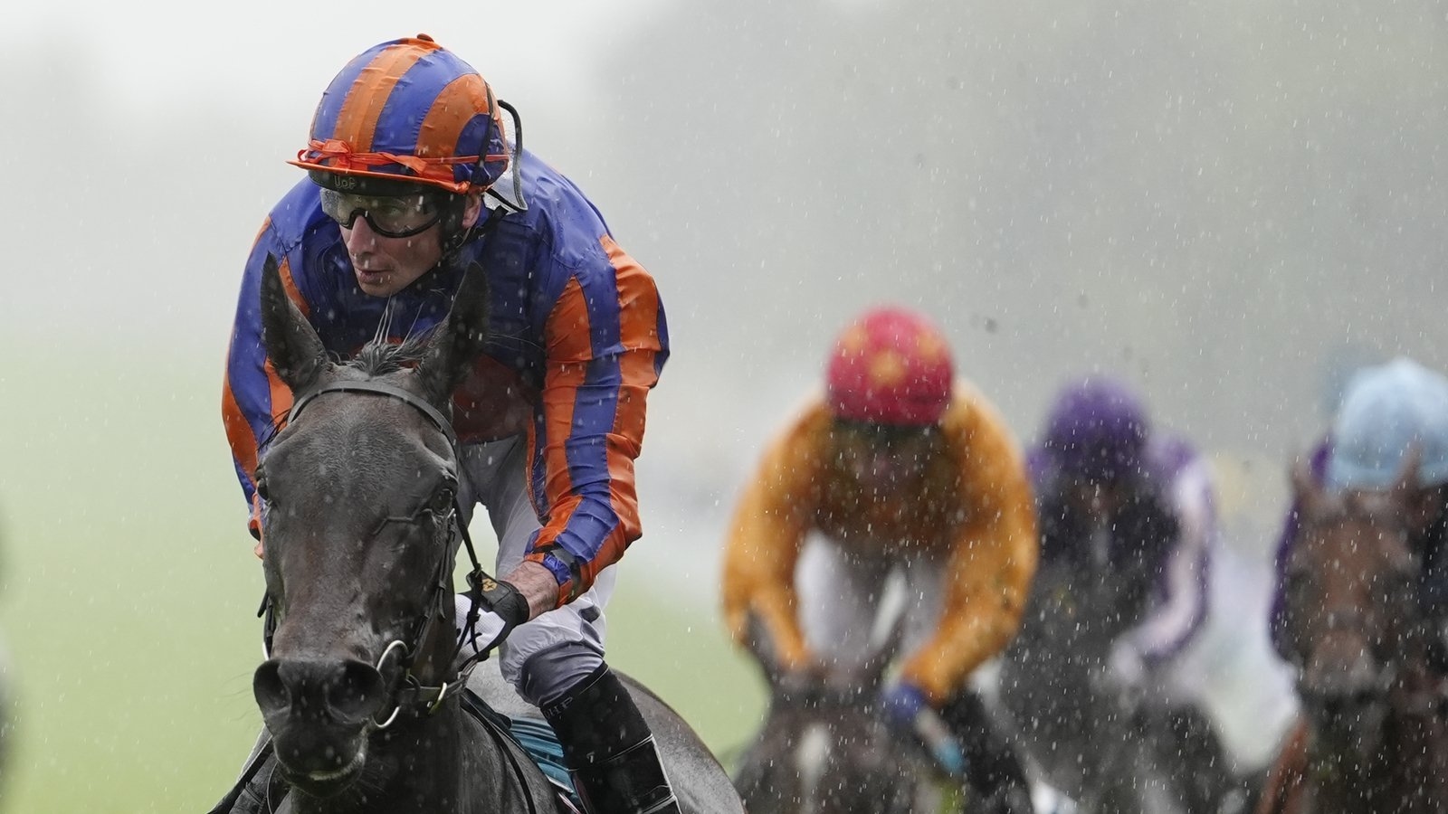 Whirl makes all in driving rain at Goodwood to win the Qatar Nassau Stakes