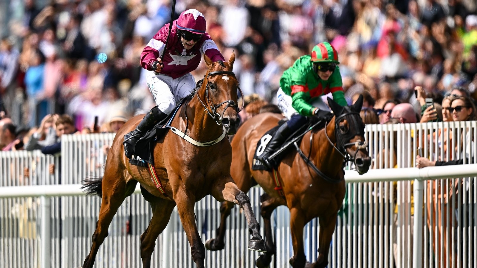 Galway Races wrap: Gold Dancer claims unlikely victory in Guinness Open Gate Brewery Novice Chase