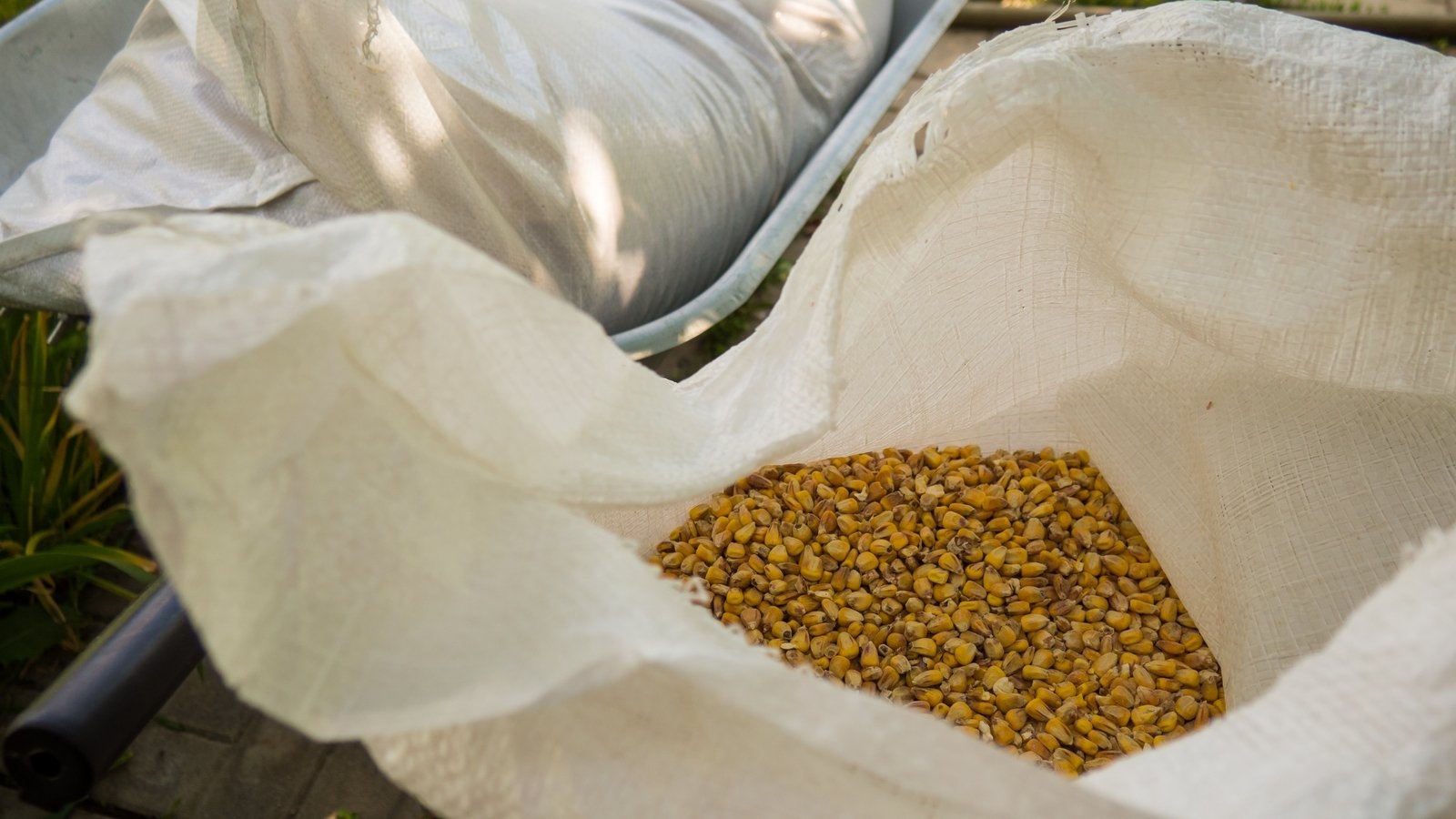 Police dismantle gang smuggling marijuana to Ireland in farm feed