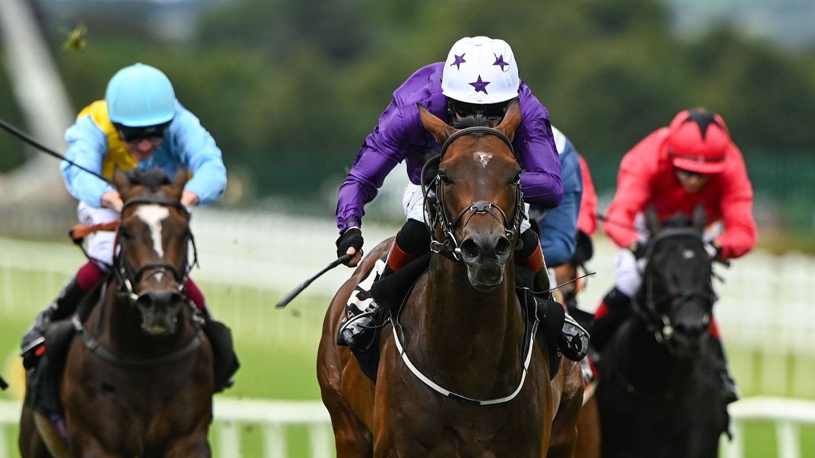 Arizona Blaze on course for 'wide open' Nunthorpe Stakes at York