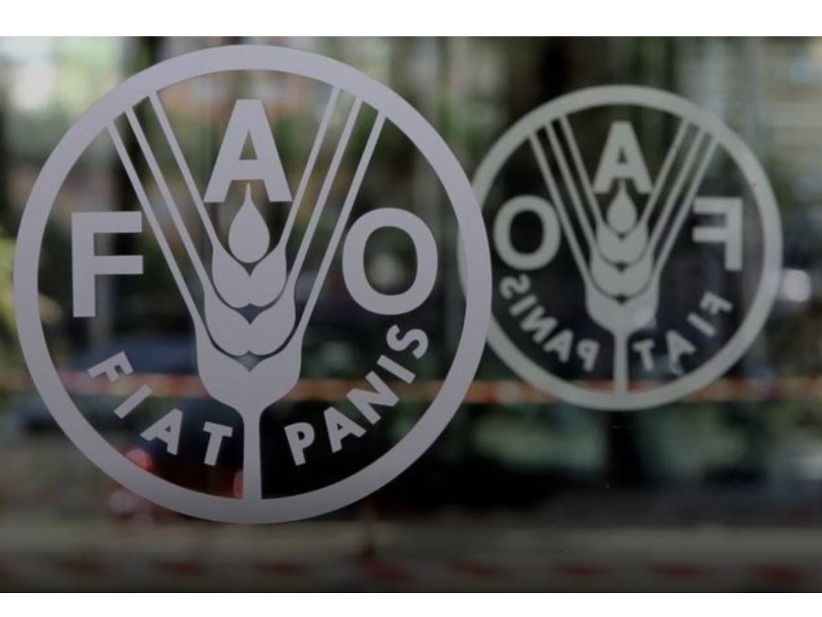 FAO: Global food prices rise modestly in June