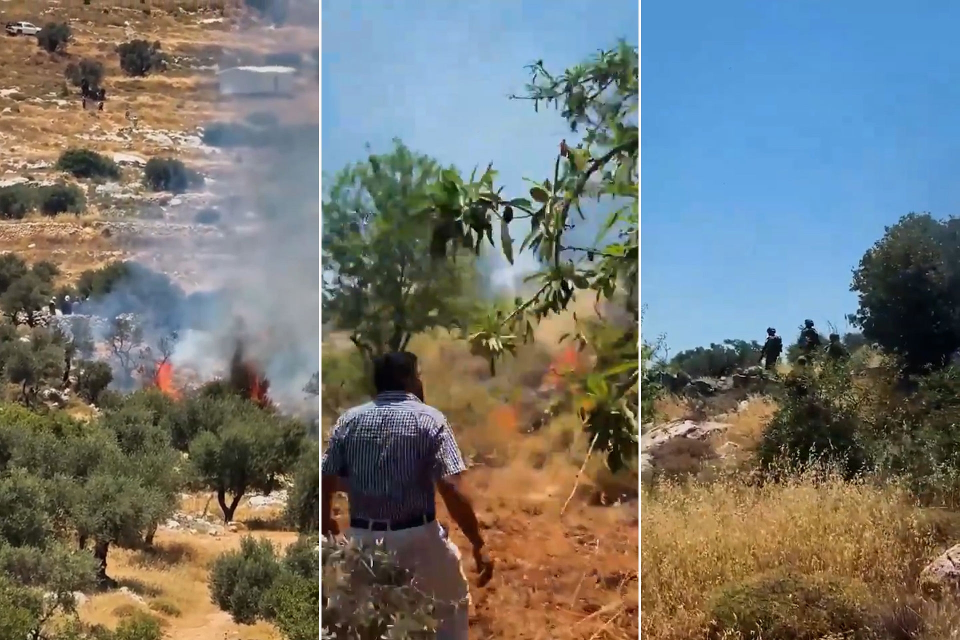 Zionist settlers continue their attacks on Palestinian property and land