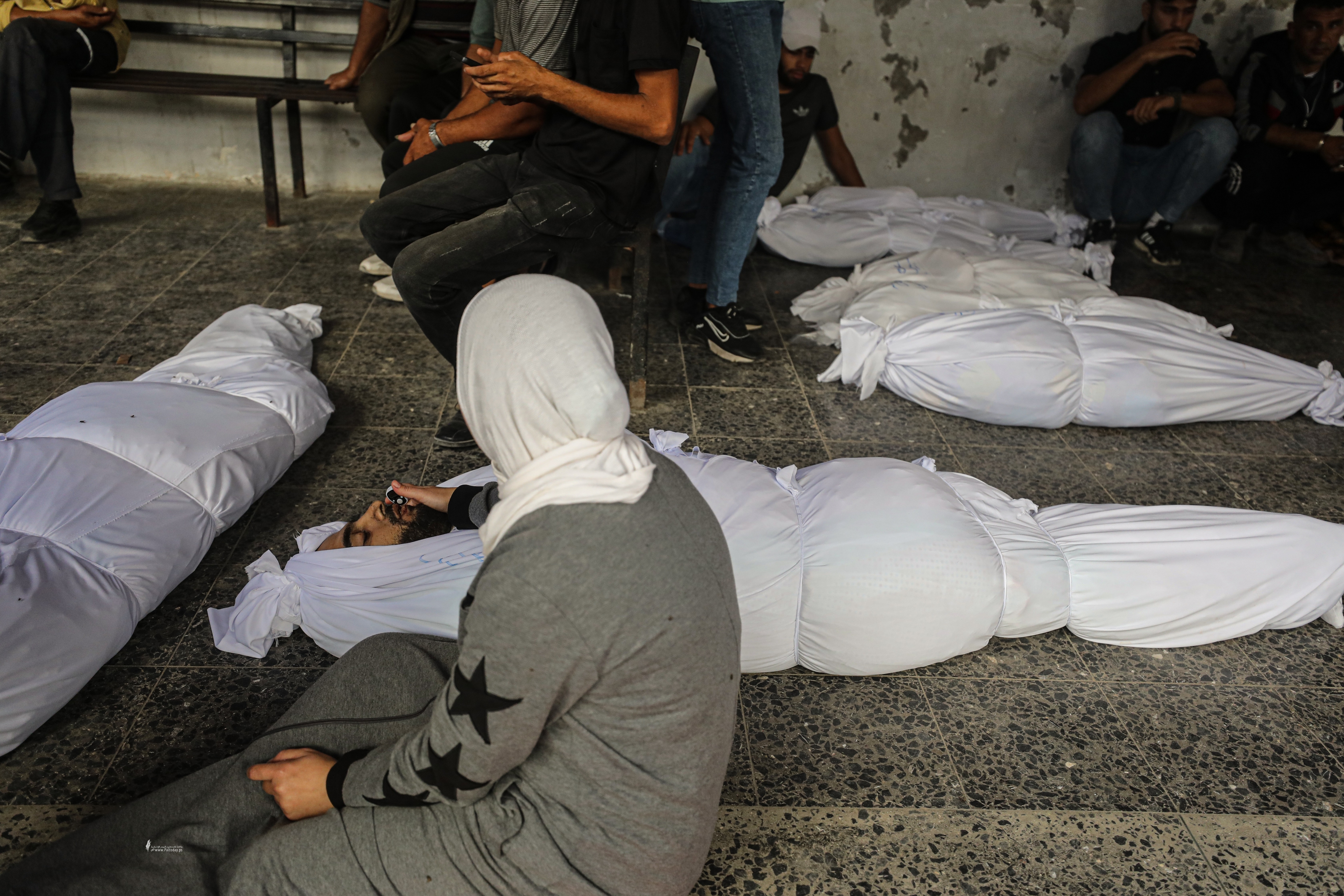 Al-Ahrar Movement: Ongoing Israeli massacres in Gaza cannot be tolerated