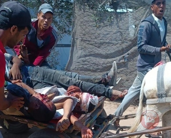 50 martyrs near aid distribution centers in Rafah, Nuseirat