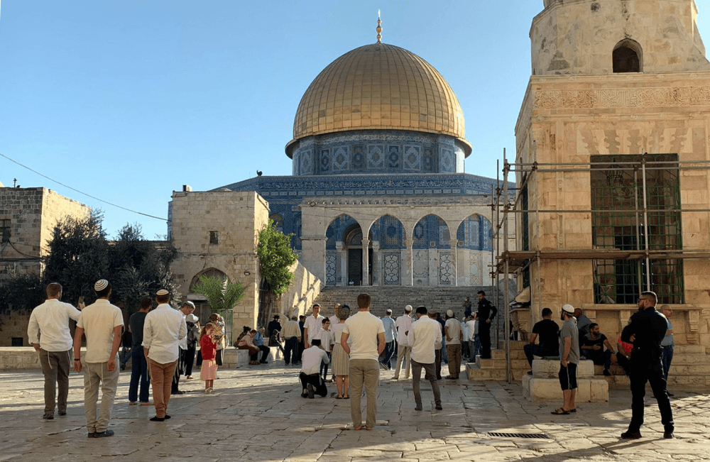 مركز معلومات يوثق تنفيذ 12 عملية هدم وإغلاق في مدينة القدس المحتلة بيونيو