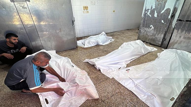 Hashd condemns escalating Israeli crimes