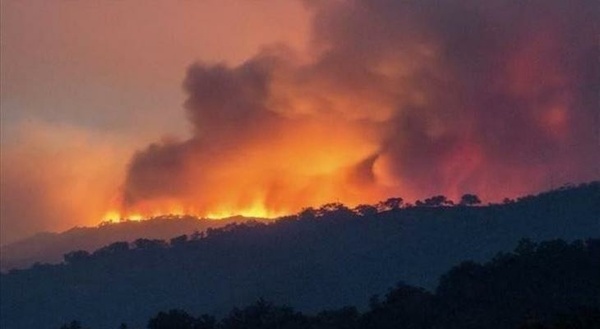Morocco Continues to Extinguish Tamrout Forest Fire