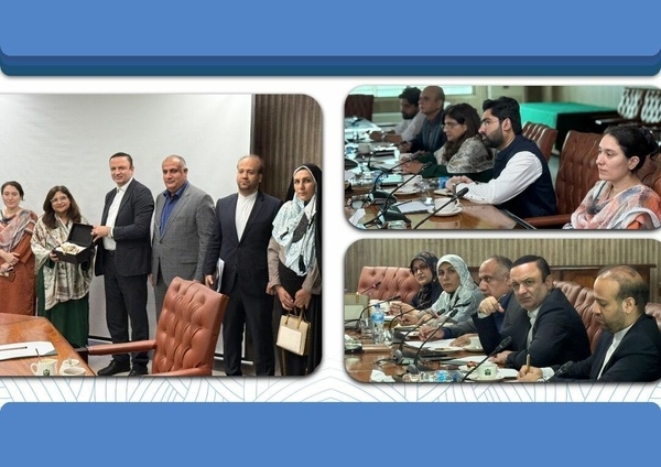 Iran, Pakistan agree to establish joint free zone on Rimdan-Ghabd border