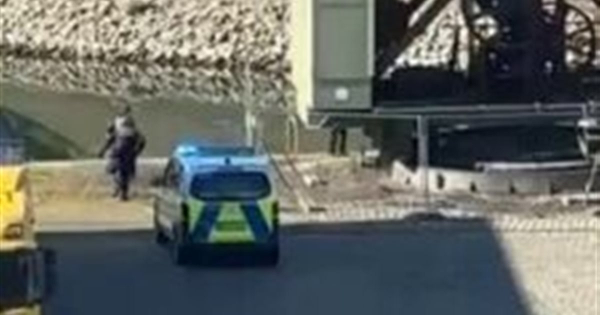 بالفيديو: سيارة تصدم حشداً في منطقة مانهايم