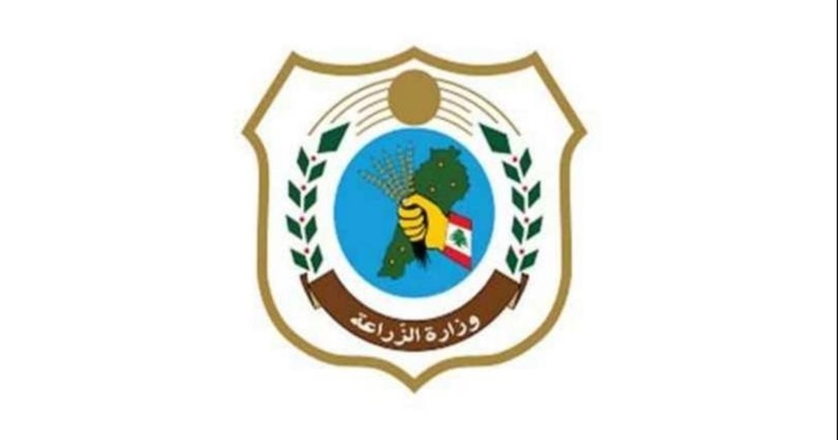 بشرى من "الزراعة" لهذا القطاع