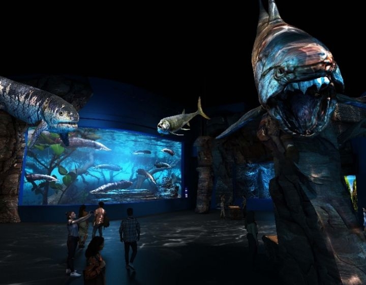 Opening 23 July! The NEW Singapore Oceanarium With 22 Zones (Former S.E.A. Aquarium)