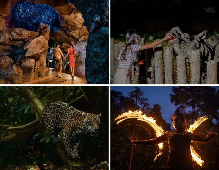 Night Safari Singapore Review: Family Guide, Shows, Tram Rides, Ticket Promos & More
