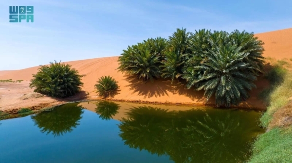 North Riyadh Geopark and Salma Geopark designated on UNESCO's Global Geoparks List