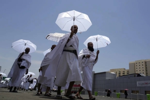 120 catheterization procedures and 11 open-heart surgeries performed for Hajj pilgrims