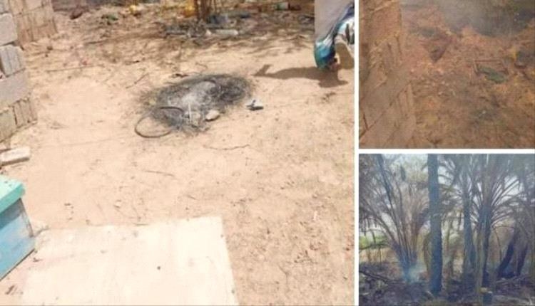 حريق هائل يلتهم نخيل ونحل مزرعة في شبام حضرموت