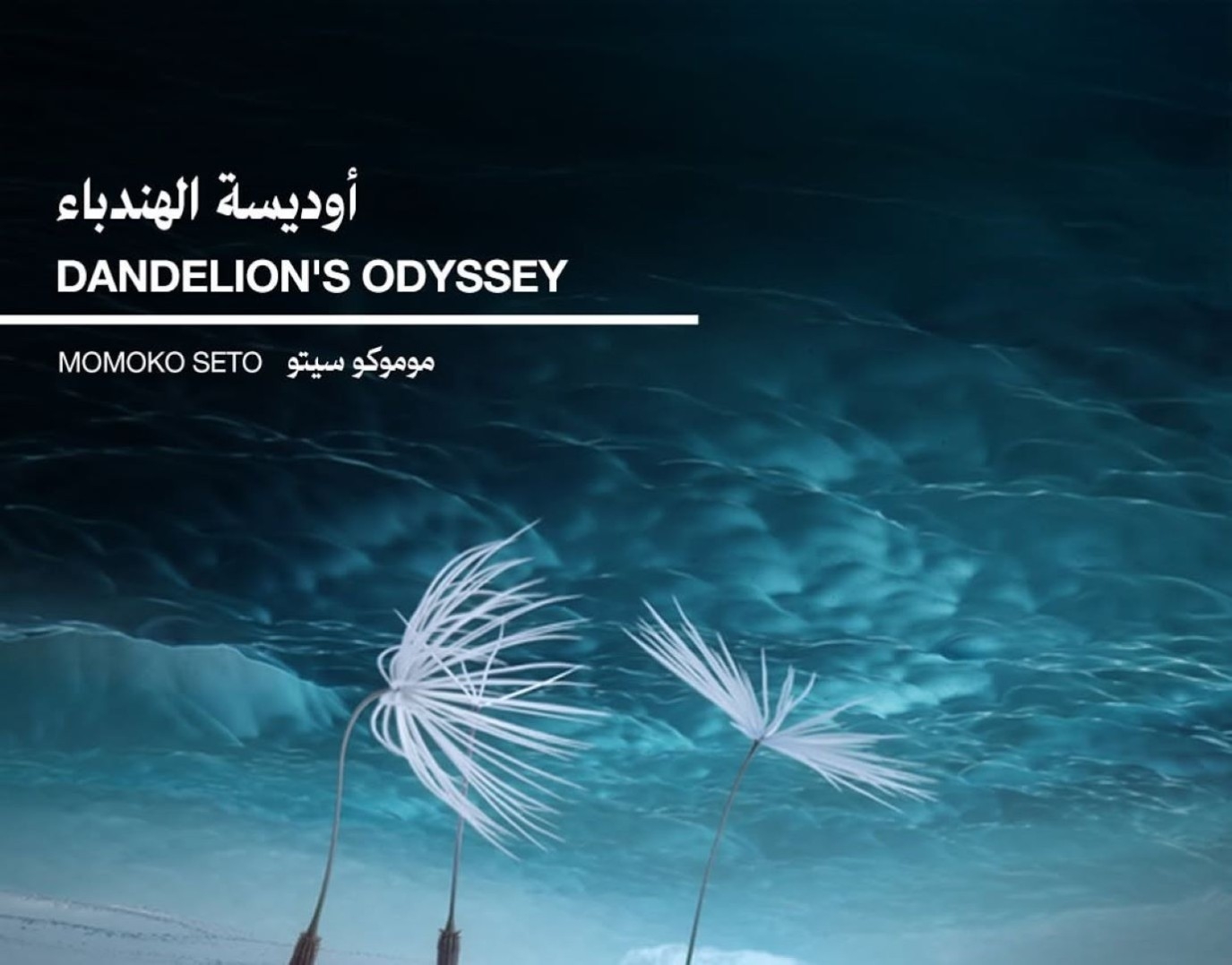مؤسسة البحر الأحمر السينمائي تشارك في أسبوع النقاد بمهرجان كان من خلال فيلم أوديسة الهندباء